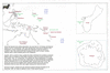 men22 to guam_thumb.gif